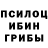 Псилоцибиновые грибы Psilocybe Alex Ezquivel