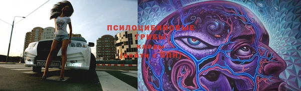 не бодяженный Новозыбков