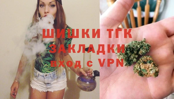 не бодяженный Новозыбков