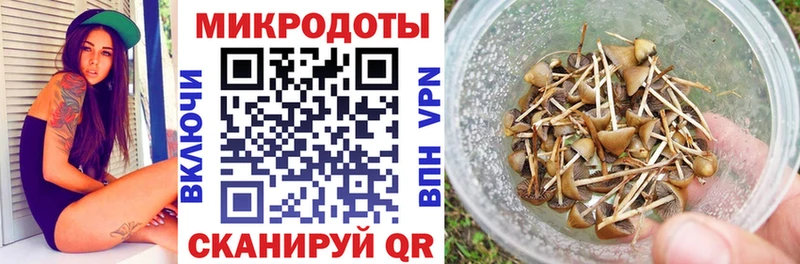 Купить закладки  Кириши  Псилоцибиновые грибы ЛСД 